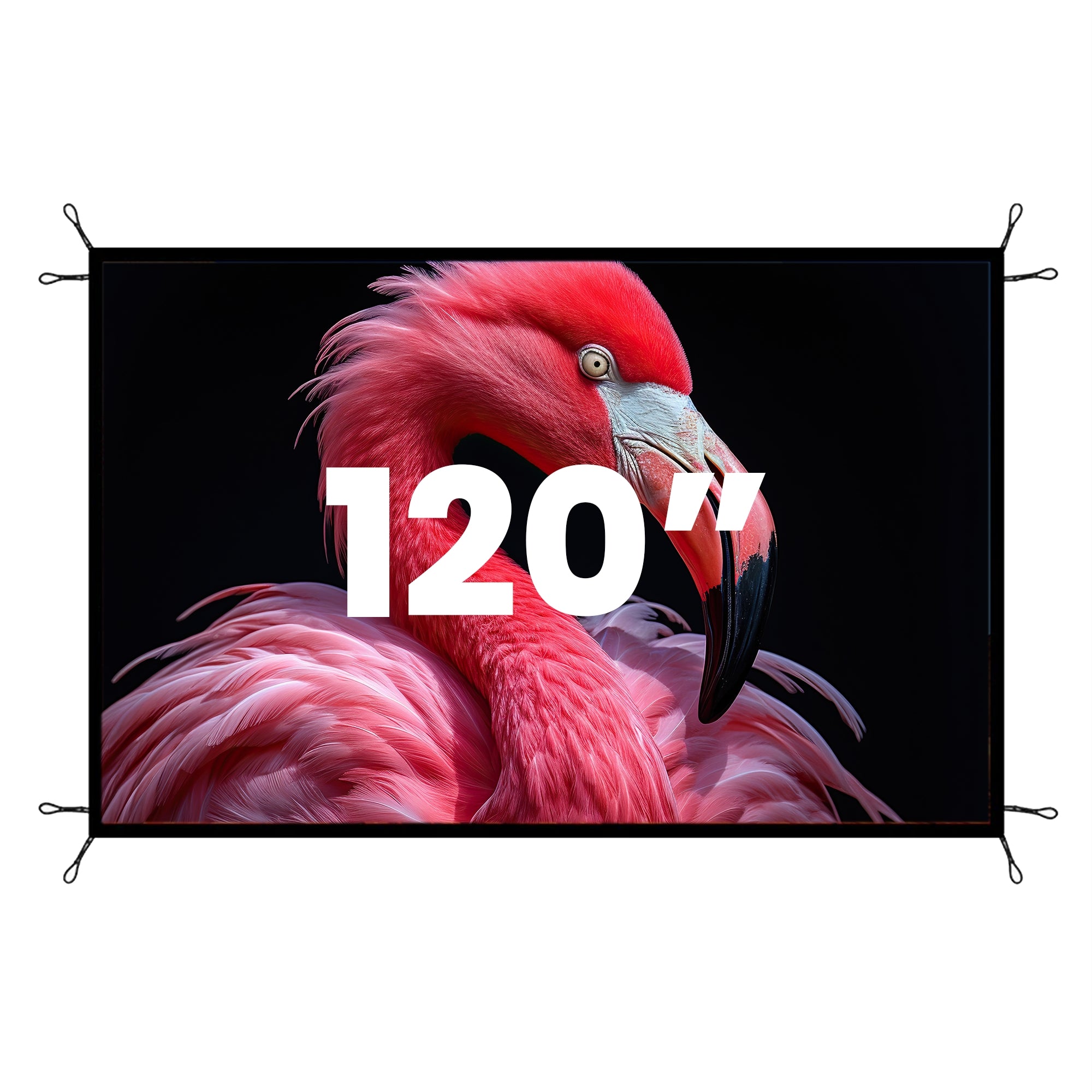 Yaber Schermata del proiettore ufficiale 80/100/120 pollici