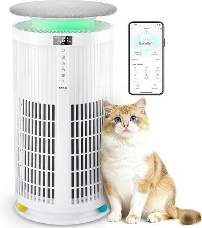Yaber 家用寵物 HEPA 空氣清淨機