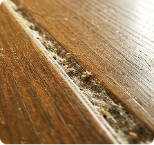Floor Gap Debris